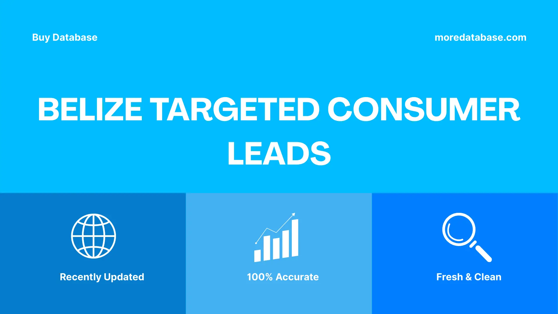 Belize Targeted Consumer Leads